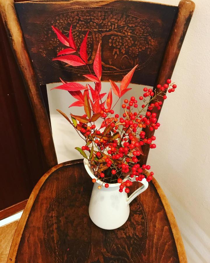 Bed And Breakfast D&D Cardano Al Campo Esterno foto